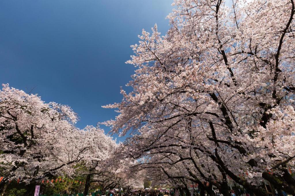 Hotel Bougainvillea Minowa Prefektura Tokio Exteriér fotografie